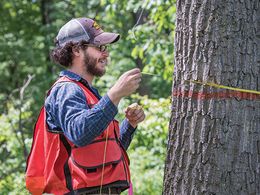 Student measuring circumference of a tree with a tape measure